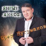 Скачать Ирек Нугуманов - Янгыз Аккош (DBG Project Remix)