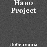 Скачать Нано Project - Доберманы (white fox music Remix)