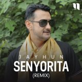 Скачать Jayhun guruhi - Senyorita (remix)