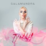 Скачать Salamandra - Туман (DJ Simon Rise Radio Edit)