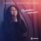 Скачать Амина Магомедова - Прости - прощай (Dj Ikonnikov Remix)