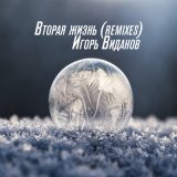 Скачать Игорь Виданов - Вторая жизнь (Remixes)