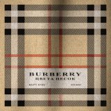 Скачать Nasty Babe, Solway - Burberry цвета песок (DENDY Remix)