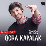 Скачать Хамдам Собиров - Qora kapalak (DNDM remix)
